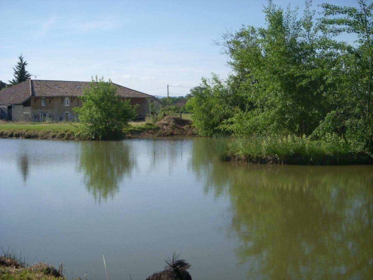 Gites Domaine De La Rochere Domsure 外观 照片